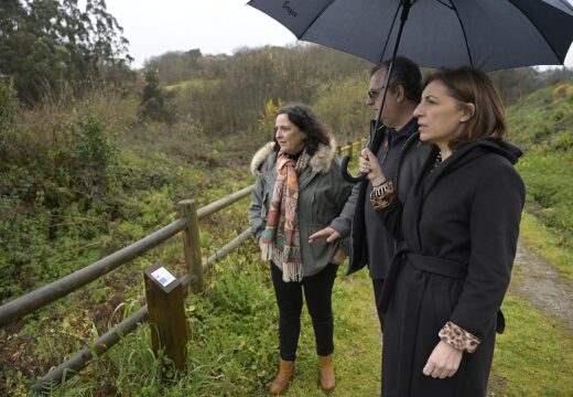 A Xunta ultima un plan de acción con recomendacións que completará os traballos desenvolvidos en Galicia para erradicar a Herba da Pampa
